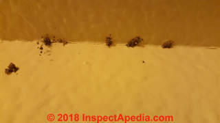 Ant frass or termite damage at wall (C) InspectApedia.com  IDK