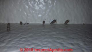 Ant frass or termite damage at wall (C) InspectApedia.com  IDK