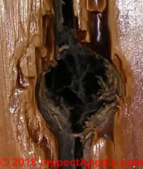 Hole in wood, possible mold or leak or other damage (C) InspectApedia.com Lisa Ruschioni