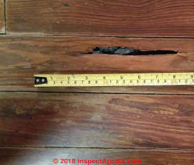 Insect damage or rot below a wood floor (C) InspectApedia.com Jaclyn Rae