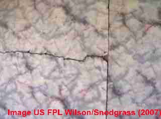 Felt backed "linoleum", Wilson-Snodgrass US FPL (2007)