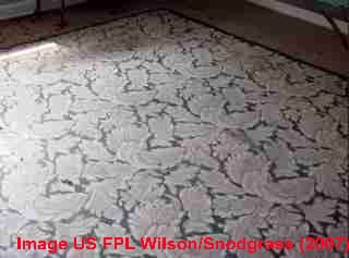 Congoleum "rug" linoleum-type floor covering still in use. Source: Wilson & Snodgrass, US FPL (2007)