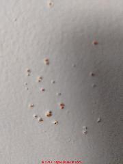 Red spot eruptions in drywall (C) InspectApedia.com