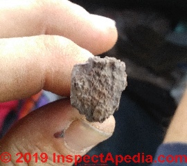 Rusty nail from Pensacola Florida (C) InspectApedia.com Gotya