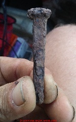 Rusty nail from Pensacola Florida (C) InspectApedia.com Gotya
