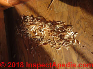 Wood fragments ripped off of windows and trim in a kitchen - trapped squirrell (C) Daniel Friedman InspectApedia.com