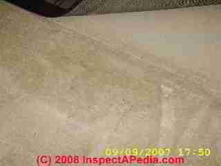 Carpet stains at edges and under furniture © Daniel Friedman