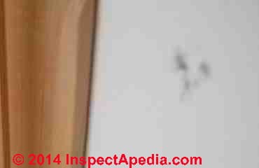Dark spot stains on interior wall traced to steel wool pads (C) InspectApedia PW