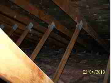 Black  moldy attic (C) D Friedman D Grudzinski