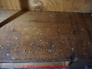 Moldy basement ceiling: plywood, joists, prior leaks from above (C) InspectApedia.com Ralph