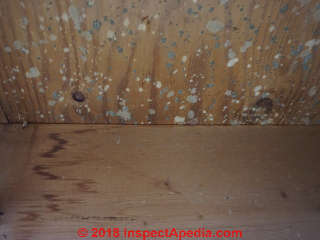 Moldy basement ceiling: plywood, joists, prior leaks from above (C) InspectApedia.com Ralph