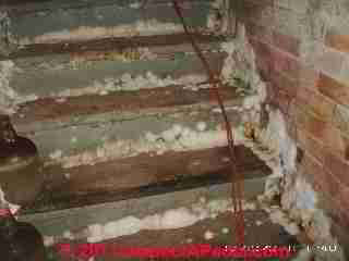 Photograph: typical mold on basement drywall after a basement flooding event -  © Daniel Friedman and Chase Falke