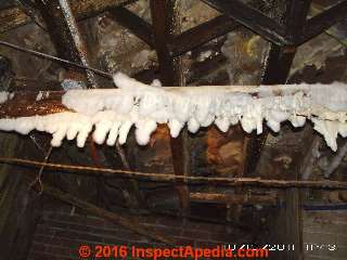 Thick fungal growth on wet basement framing (C) InspectApedia.com 