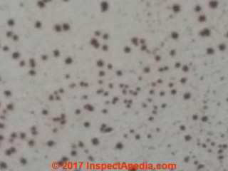 Black spots on wall are probably mold - Mei (C) InspectApedia.com