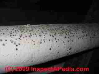 Mold growth on fiberglass pipe insulation, plastic covering surface (C) Daniel Friedman