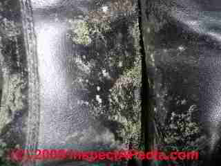 Green, gray mold growth on leatheretter upholstered furniture (C) Daniel Friedman