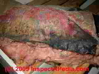 Dense mold contamination growth on fiberglass insulation kraft facing (C) Daniel Friedman