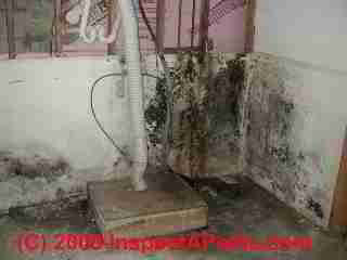 Black mold on drywall © Daniel Friedman