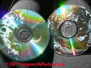 Photo of mold on CDs and DVD disks (C) Daniel Friedman