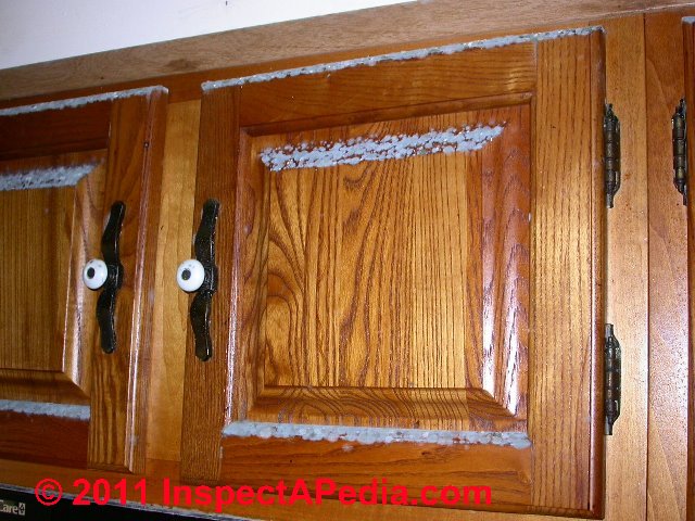 mold cabinets kitchen cabinet growth damage salvage clean flood bathroom doors wet countertops materials building different inspectapedia under moldy pair
