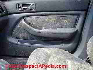 Photo of mold on interior surfaces of a car destroyed by mold growth (C) Daniel Friedman