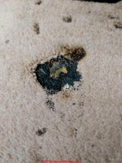 Black area on carpet looks like burns not mold (C) InspectApedia.com Margie