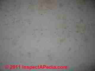 Photo of mold on basement ceiling tiles (C) Daniel Friedman