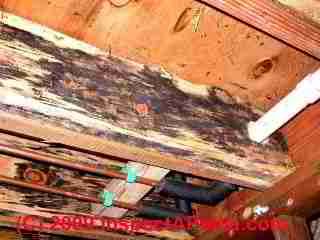 Cosmetic black mold on framing lumber © Daniel Friedman at InspectApedia.com
