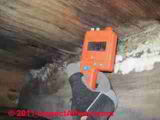 Photo of mold on plywood subfloor over a crawl space  (C) Daniel Friedman