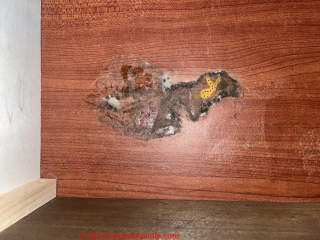 Dresser drawer mold (C) InspectApedia.com Amie