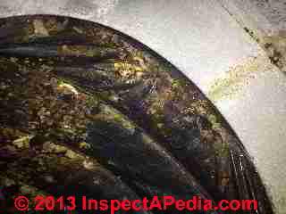 Mold in HVAC flex duct (C) InspectAPedia