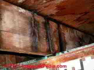 Black mold and leak stains on floor joists and water stains on subfloor (C) Daniel Friedman