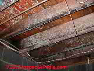 Very mold contaminated floor framing and subfloor © D Friedman at InspectApedia.com 