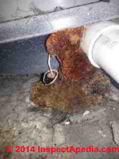 Indoor fungal growth at foundation & on PVC piping (C) InspectApedia