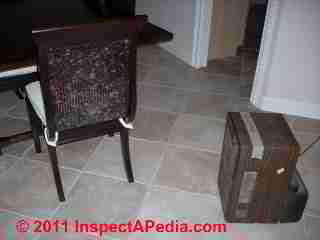 Mold growth on dining room chair furniture (C) Daniel Friedman
