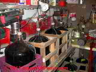 Mold growth on glass surfaces of wine bottles (C) Daniel Friedman