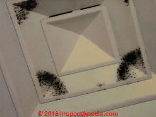 Mold on an air supply register (C) Daniel Friedman