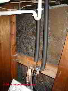 Photo of mold on wood fibergboard sheathing or insulating board (C) Daniel Friedman