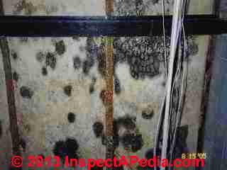 Moldy building insulation (C) InspectApedia reader contributed