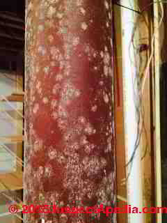 White mold on steel Lally Column (C) InspectApedia M.T. 