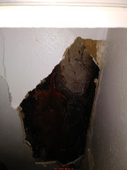 Hole in the wall may show previously-hidden mold contamination (C) InspectApedia.com tenant