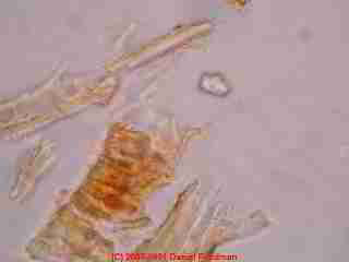 Photograph of cellulose fragments on the test surface after media blasting with baking soda, before vacuuming