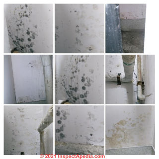 Mold contamination in the boiler room of a dialysis clinic (C) InspectApedia.com Jenny