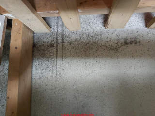 Black mold on concrete foundation wall and moremold on nearby wood (C) InspectApedia.com Scott