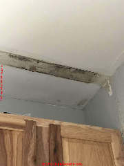 Mold under crown molding wood trim after roof leak (C) InspecctApedia.com JAK