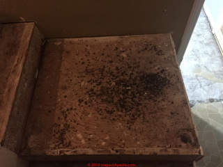 Mold on plywood where laminate flooring was removed (C) InspectApedia.com Brian Carr