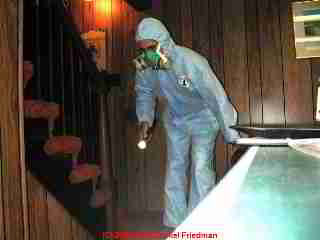 Photograph: a professional toxic mold investigator is shown here properly dressed and wearing a respirator, but missing gloves, as he begins to inspect a very moldy basement - © Daniel Friedman