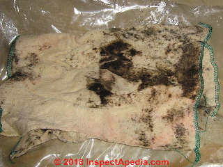 Black brown mold on UK Dish Cloth (C) InspectApedia.com Monica M