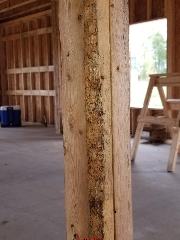 Cosmetic mold on wood framing in a new home (C) InspectApedia.com Ariel