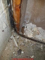 Wet framing lumber in a basement (C) InspectApedia.com Eric